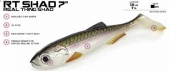 Molix Real Thing Shad 7inch -Finest Angling Store 11088