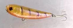 Gladiator Tackle Kozami 60 Topwater Lure -Finest Angling Store 11 307fe968 a8d1 4b18 a31f e3d19dcbdb1f