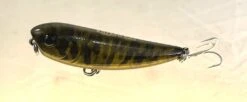 Gladiator Tackle Kozami 60 Topwater Lure -Finest Angling Store 14 e751975b 03d5 4db0 a3e9 88297e66d924