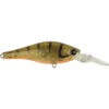 Atomic HARDZ SHINER 60 -Finest Angling Store 60 muddy