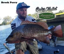 Barambah Lures - Baby Mullet 120mm -Finest Angling Store 74711842 2346972262279659 2290730166055337984 o