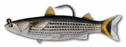 Live Target Mullet & Herring Swimbaits -Finest Angling Store 8091