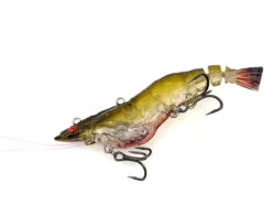 Chasebaits Armour Prawn -Finest Angling Store Armour Prawn AP 04 Green Prawn 2048x 99b3fa60 18e2 467a 8282 4601bda1fa51