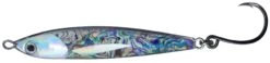 Bluewater Bullet Bait -Finest Angling Store BB ABALONE scaled 1