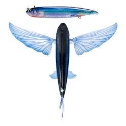 Nomad Flying Fish 140mm 11 Nomad Flying Fish 140mm -Finest Angling Store FF ELC Electric c5ee6a43 a180 4257 854f e430a4387b2d