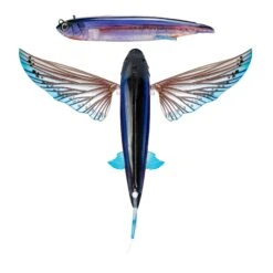 Nomad Flying Fish 200mm -Finest Angling Store FF ULS Ulysses