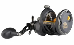 Penn Squall II Star Drag