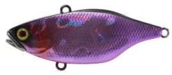 Jackall TN Series Vibes -Finest Angling Store Purple 0715e9c0 2cc0 4bb9 99ea 315826e12937