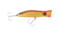 Halco Roosta Popper 105 -Finest Angling Store RP105 H70