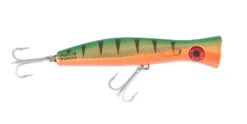 Halco Roosta Popper 195 -Finest Angling Store RP195r26 png d7459181 b63c 4d4d 940f 12f3bcc00606