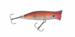 Halco Roosta Popper 60 -Finest Angling Store RP60R40