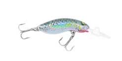 RMG Scorpion 35mm -Finest Angling Store S35FLT R25