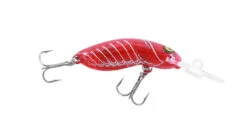 RMG Scorpion 35mm -Finest Angling Store S35FLT R46