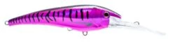 Nomad DTX Minnow 200mm -Finest Angling Store dtx200 s pht 800x 8a4effd4 e3e9 4281 a52d 8f6fa29db4ae