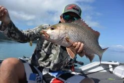 Tackle Tactics Jig Spinners -Finest Angling Store full 1269