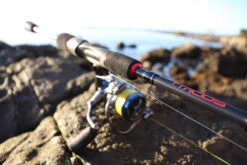TTRods Red Belly Spin Rods 9 TTRods Red Belly Spin Rods -Finest Angling Store full 3271 TTRods RedBelly Outdoor 13 web