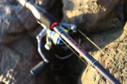 TTRods Red Belly Spin Rods 8 TTRods Red Belly Spin Rods -Finest Angling Store full 3272 TTRods RedBelly Outdoor 03 web