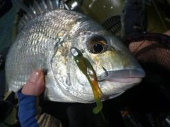 Tackle Tactics Finesse HeadlockZ Jig Heads -Finest Angling Store full 453