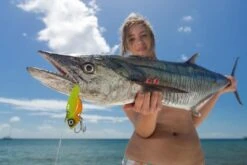 TT Switchblade HD Vibe -Finest Angling Store full 520