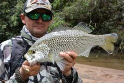 Tackle Tactics Jig Spinners -Finest Angling Store full 904