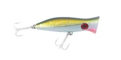 Halco Roosta Popper 80 -Finest Angling Store h71 1 1