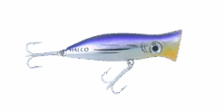 Halco Roosta Popper 80 -Finest Angling Store h79 1 1