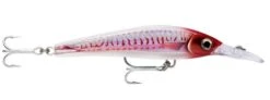 Rapala Magnum Xtreme 160 HD 10 Rapala Magnum Xtreme 160 HD -Finest Angling Store hdrhu 2000x 95f2032c 6927 4a14 949f ca555890d70f