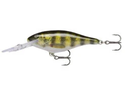 Rapala Shad Rap Deep Runner 11 Rapala Shad Rap Deep Runner -Finest Angling Store live perch