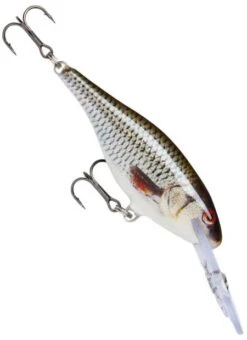 Rapala Shad Rap Deep Runner 12 Rapala Shad Rap Deep Runner -Finest Angling Store live roach