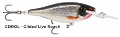 Rapala Shad Rap Elite -Finest Angling Store live roach f923145d aca0 4c11 aadf 1db6c3d0bde7